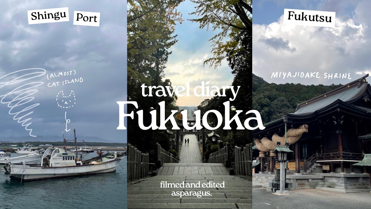 travel diary | Fukuoka🎐(almost)Cat Island, Shingu Port, Miyajidake Shrine, Fukutsu