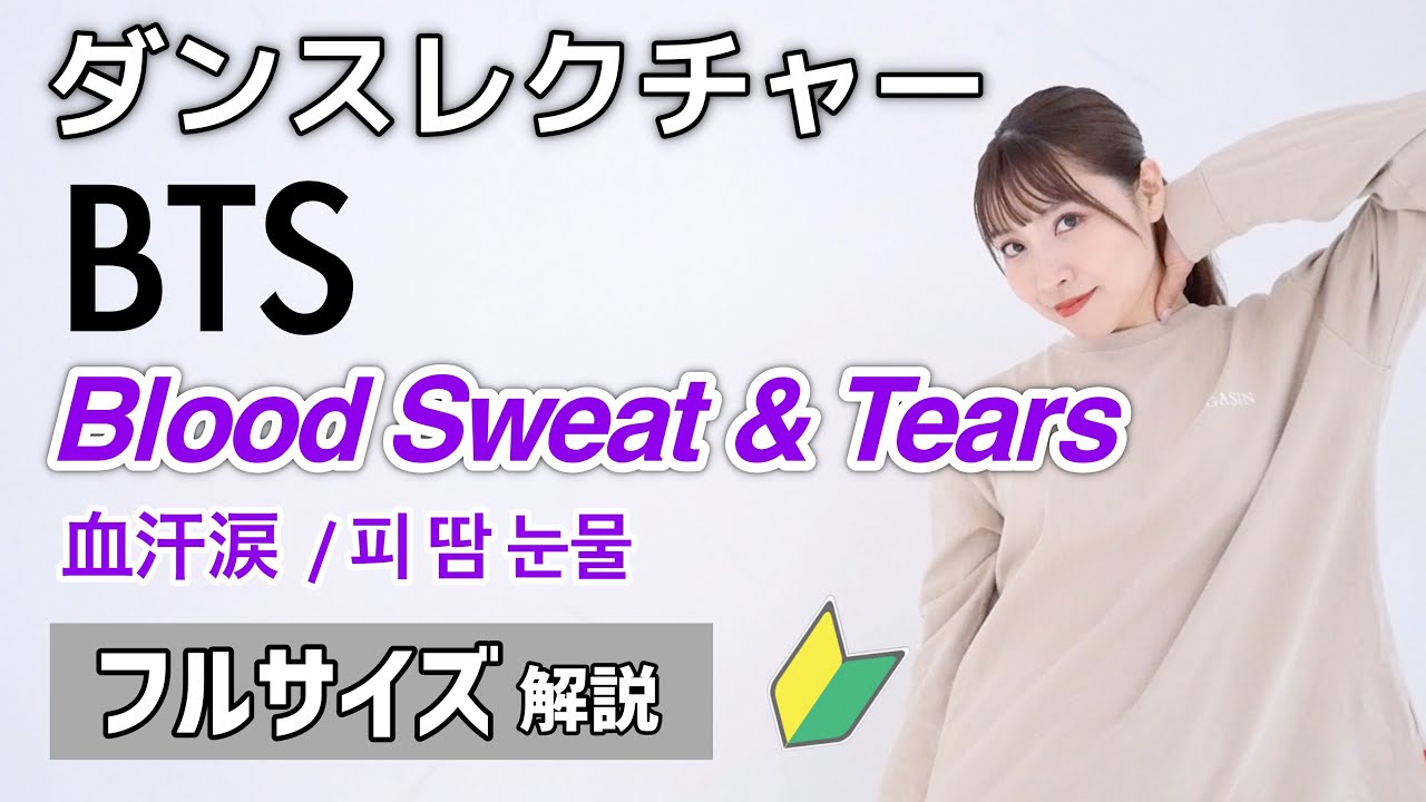 【ダンスレクチャー】BTS - Blood Sweat & Tears  ( 血汗涙 / 피 땀 눈물 ) フル解説🔰初心者向け