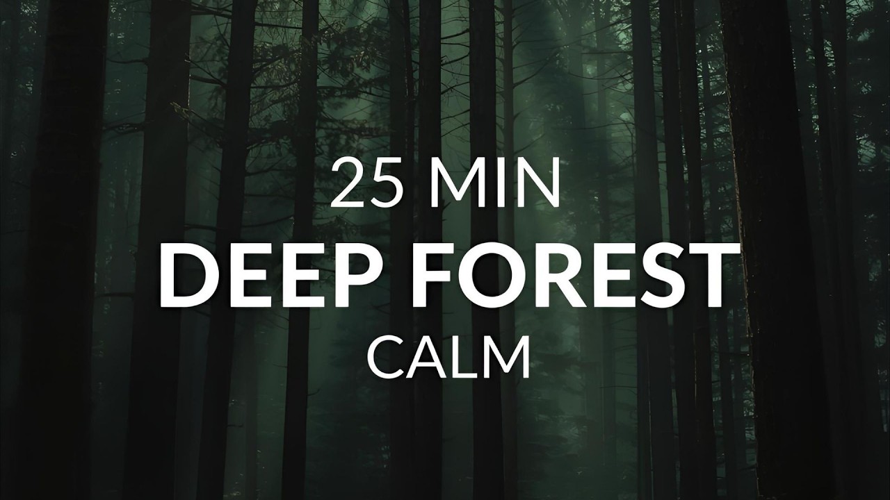 Deep Forest Sounds for Relaxation 🌲 | 25 Min Calm Nature Ambience