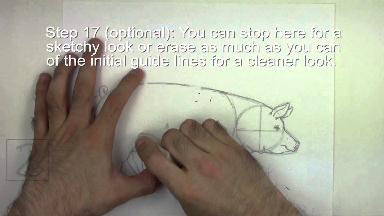 How to Draw a Pig