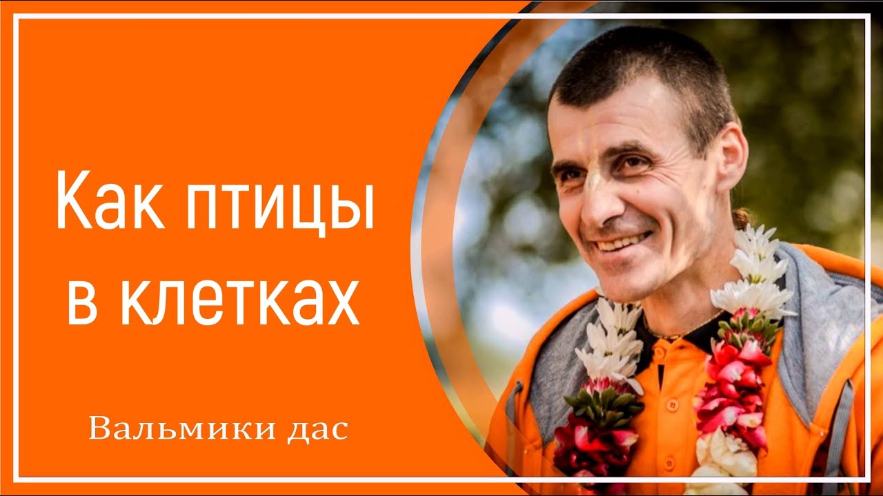 Как птицы в клетках