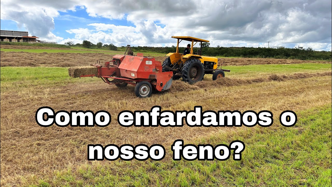 Enfardando feno de Transvala! #feno #fena&ccedil;&atilde;o #agricultura #maquin&aacute;riopesado #agro #enfardadeira