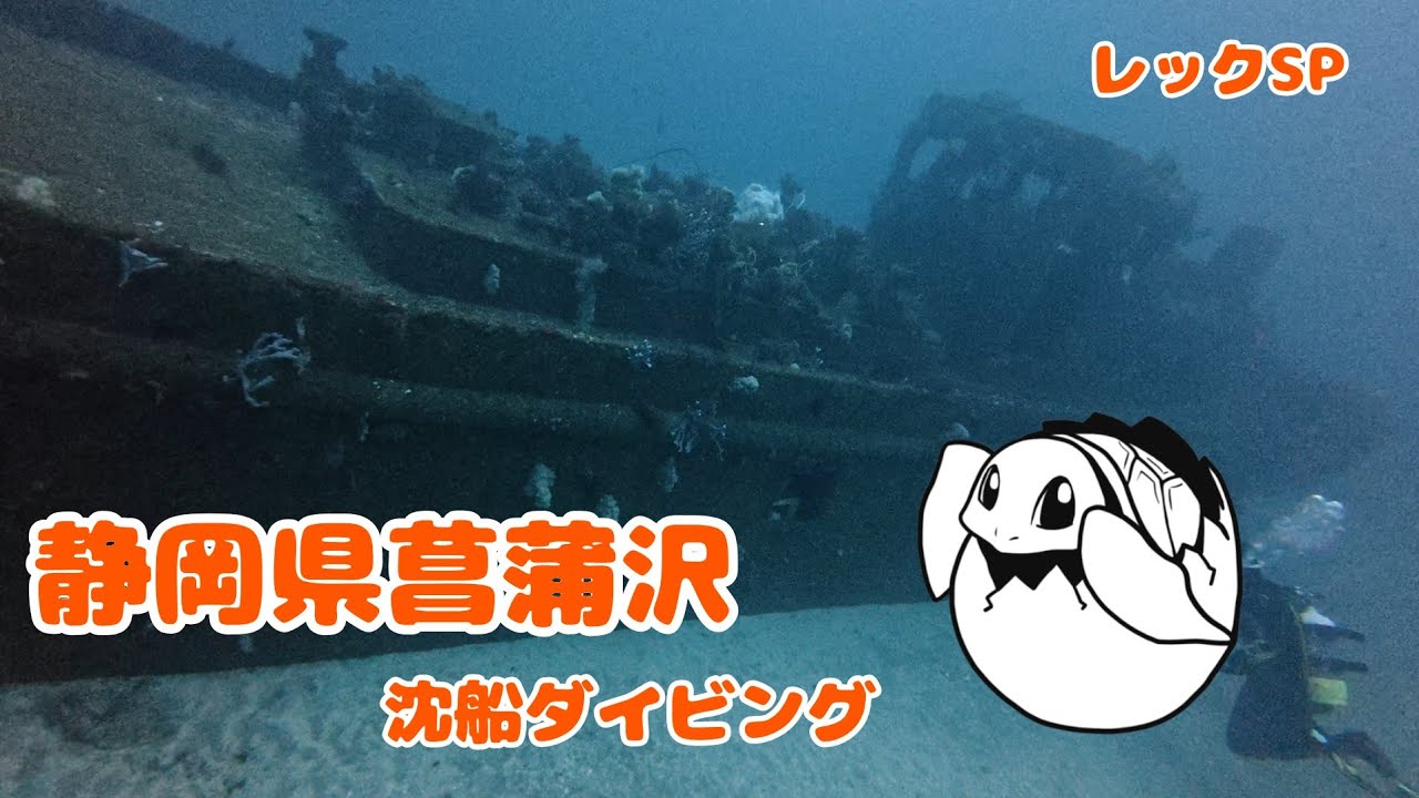 【水中動画】静岡県菖蒲沢_沈船ダイビング