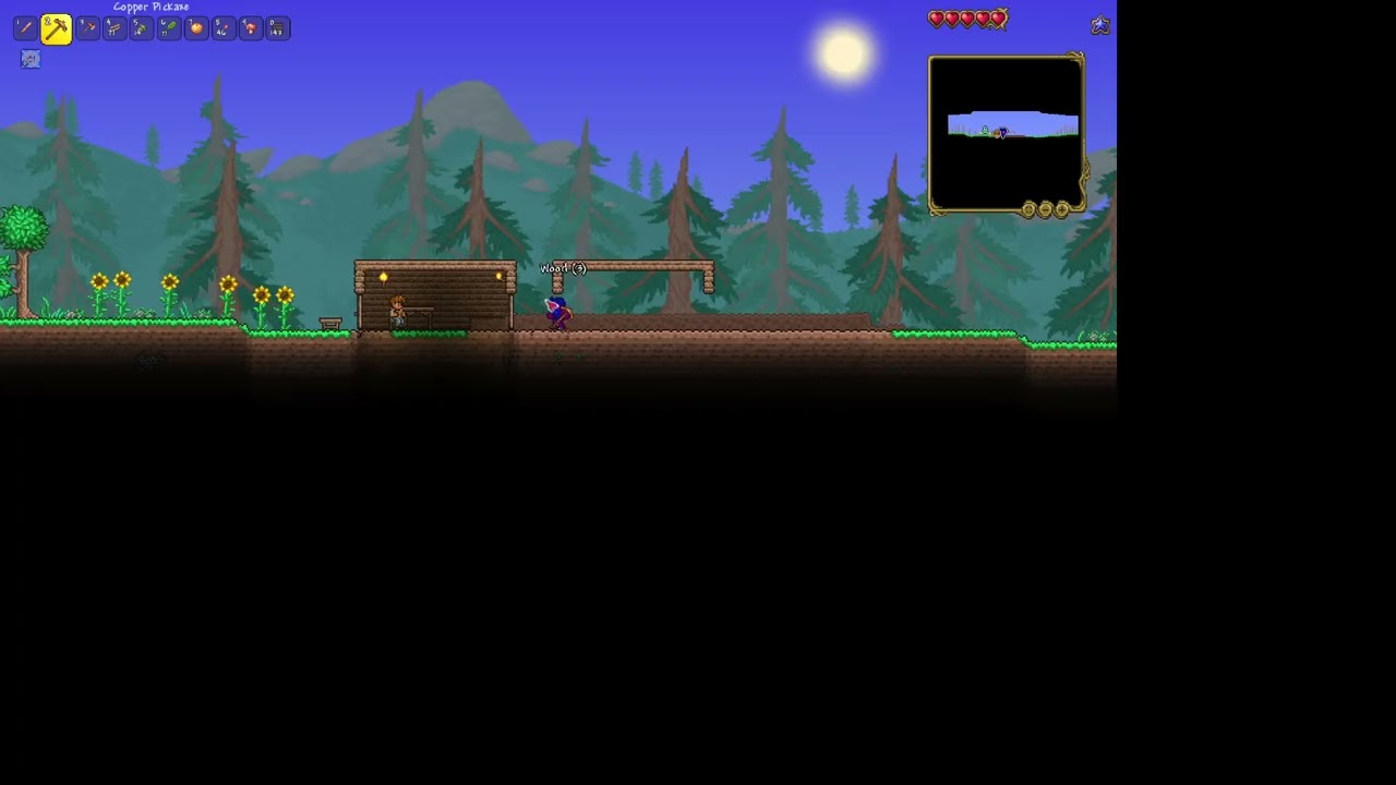 Terraria New World and Character