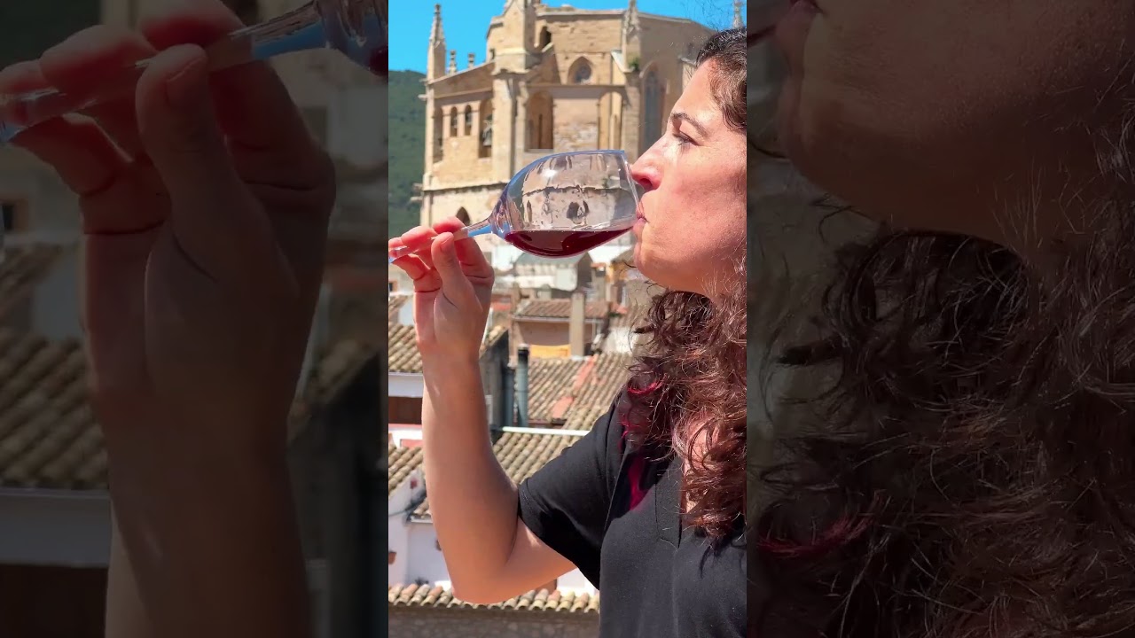 Un passeig per la Conca de Barber&agrave;