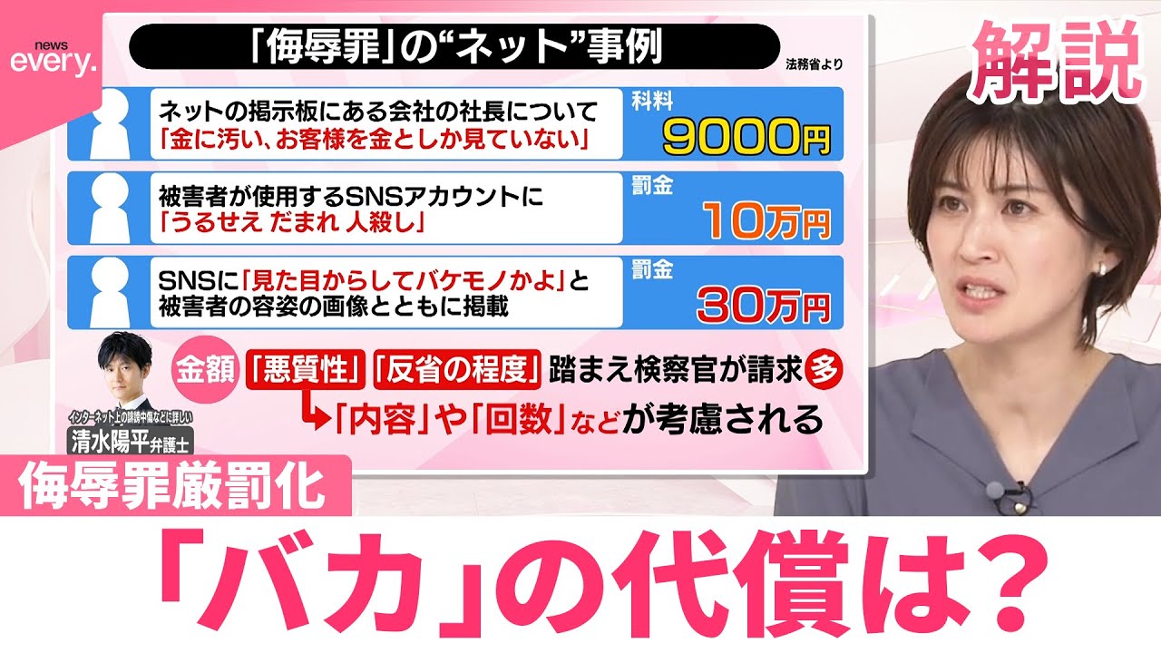 【#みんなのギモン】「これをやると侮辱罪」事例公開  罰金10万円も…「バカ」の代償は