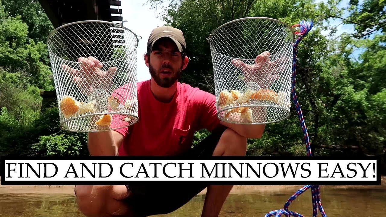How to Find AND Catch Minnows for Bait!