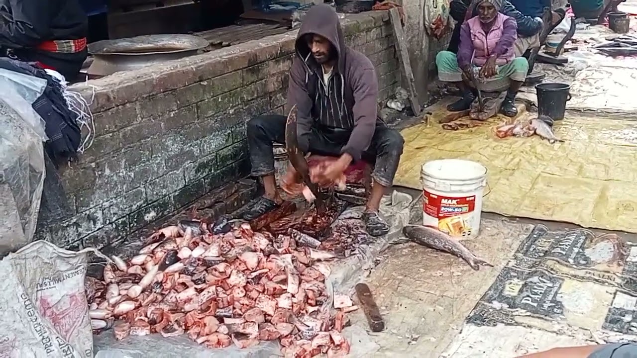 বটি দিয়ে কত তাড়াতাড়ি মাছ কাটে#