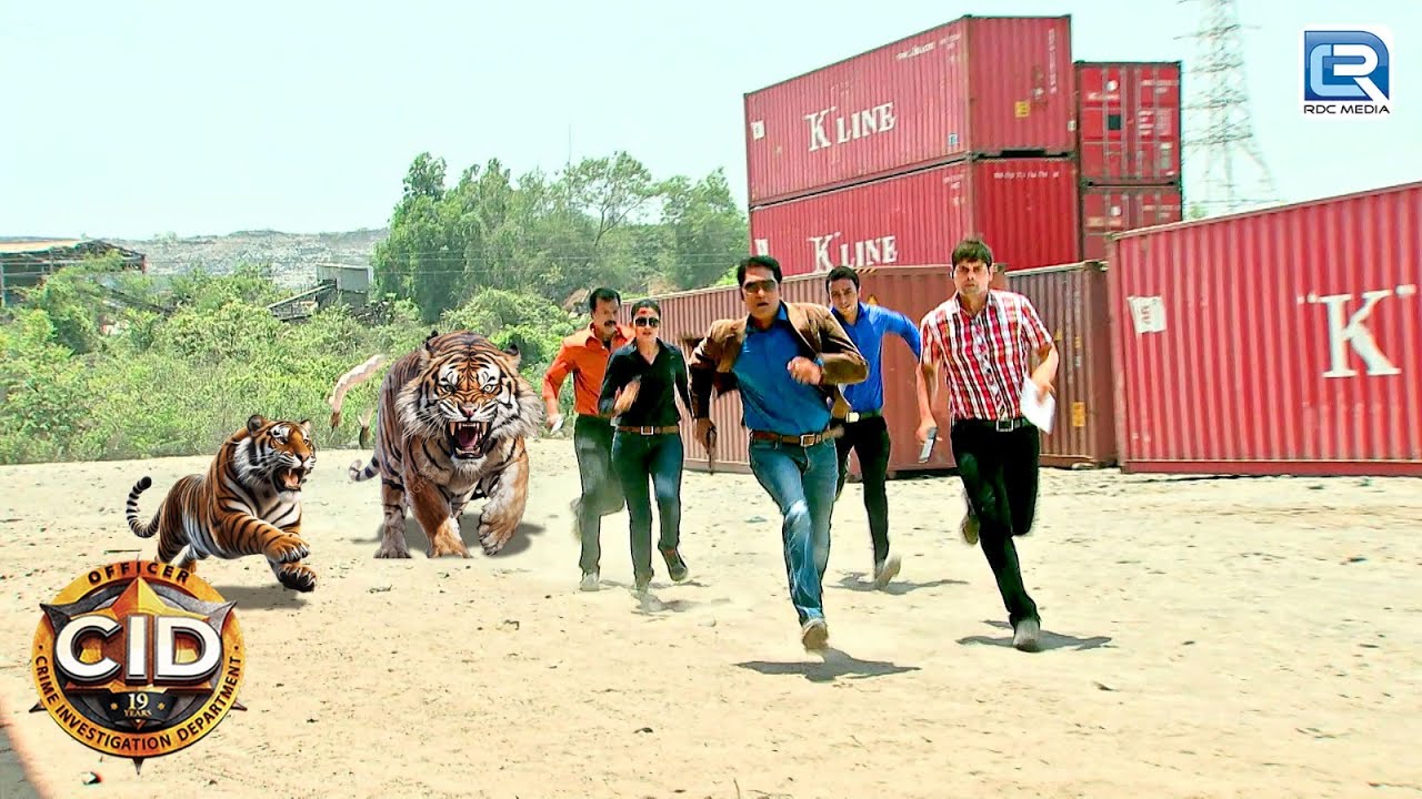 Team CID पर किया जंगली शेरो ने हमला | CID | Full Episode