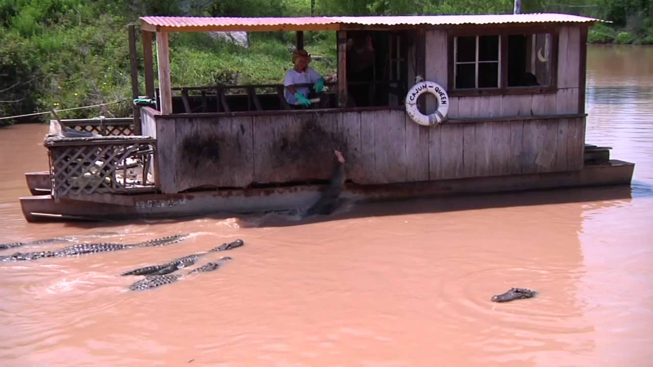 I Love the Ark-La-Tex: The Alligator Park