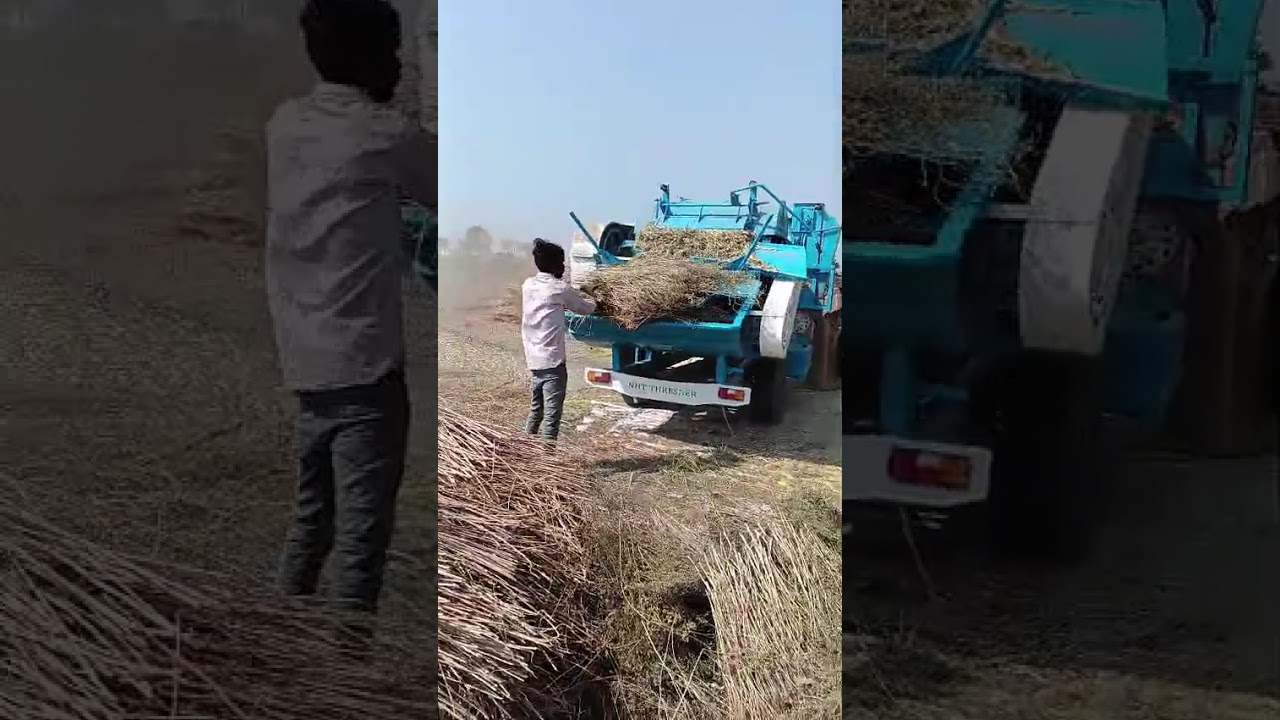 Dhaniya MULTICROP THRESHER 🙏🤙 7082700367