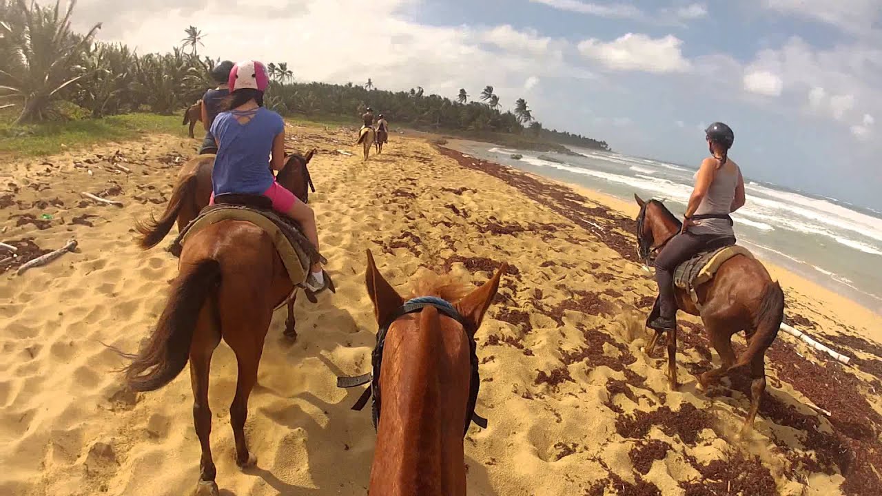 Uvero Alto beach Horse riding HD - Dominican Republic