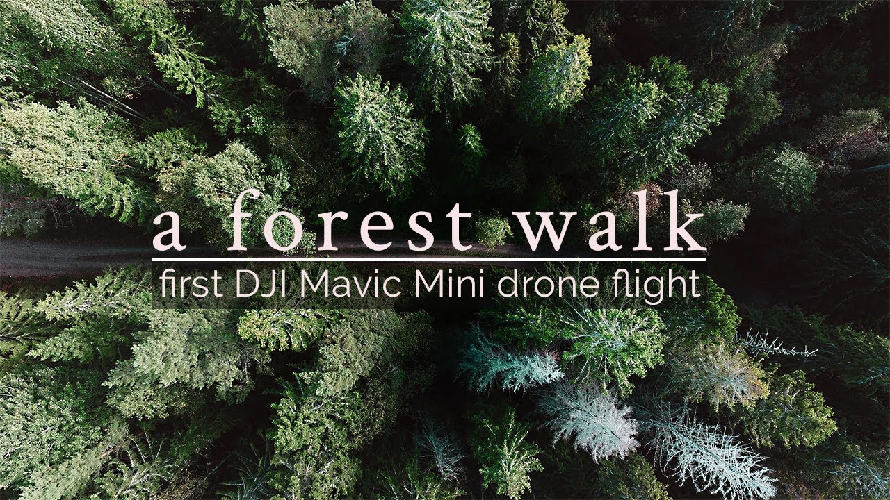 a forest walk | first DJI Mavic Mini drone flight