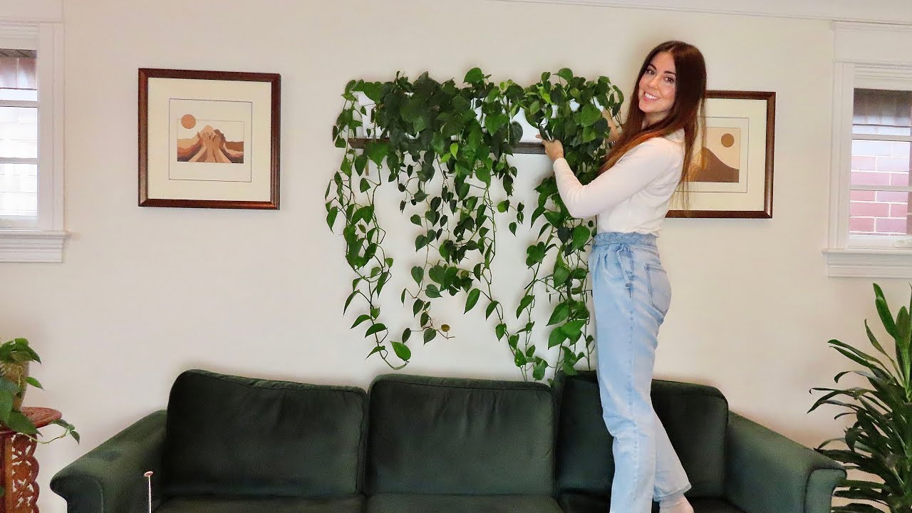 Pothos Plant Wall Decor | How I Made It, Trimming & Propagation
