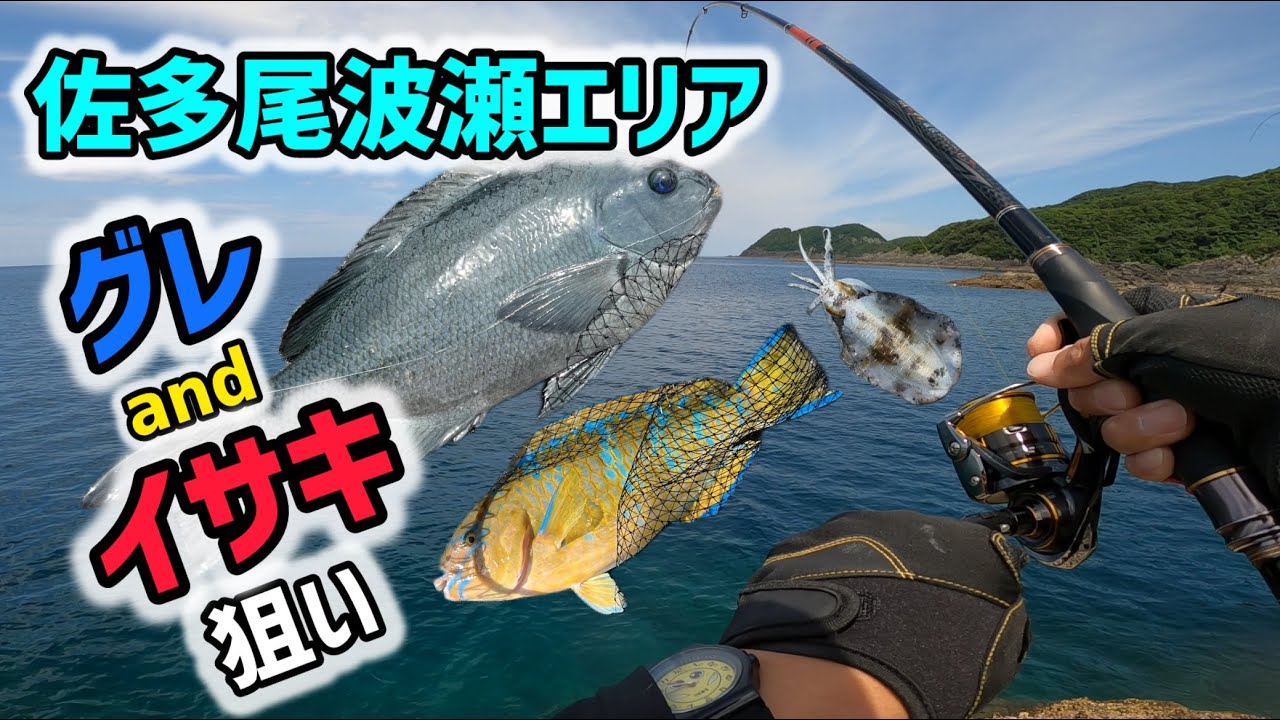 【クロ釣り】佐多尾波瀬エリアで梅雨グレとイサキを狙う！