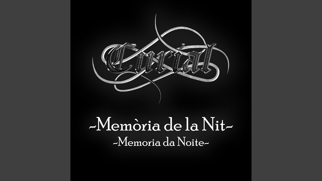 Memòria de la Nit