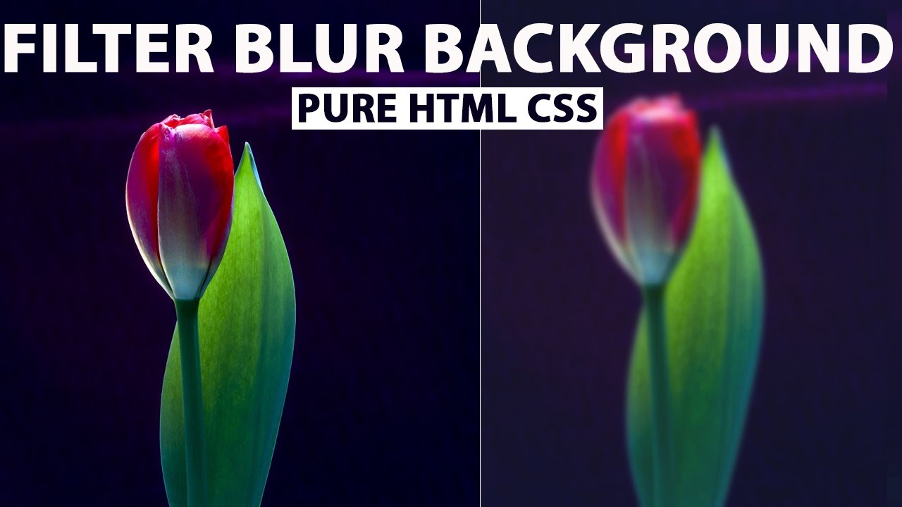 Blur background by html css -Filter Blur || CSS blur Background