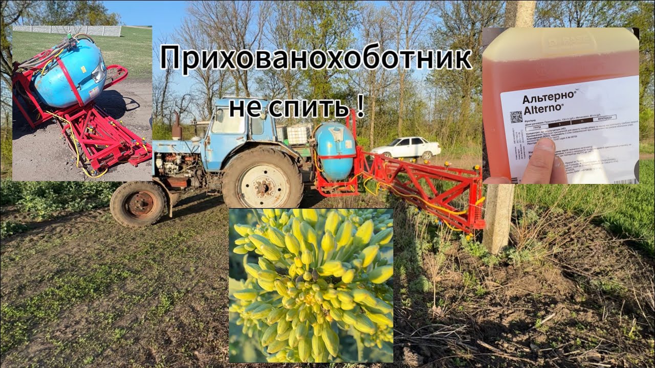 📍Обприскування ріпаку⁉️ Прихованохоботник не спить❗️Обприскувач впав 🚜👍