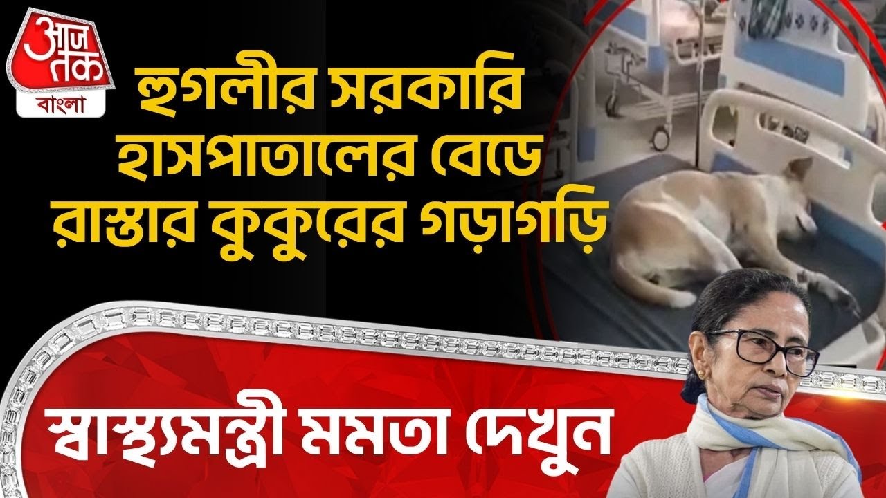 হুগলীর Government Hospital র বেডে রাস্তার কুকুরের গড়াগড়ি, স্বাস্থ্যমন্ত্রী Mamata দেখুন| Hooghly |DN