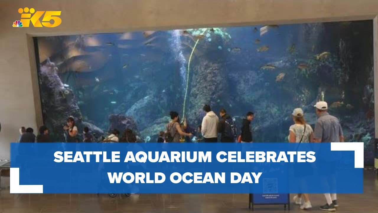 How Seattle Aquarium is serving as a platform for ocean conservation