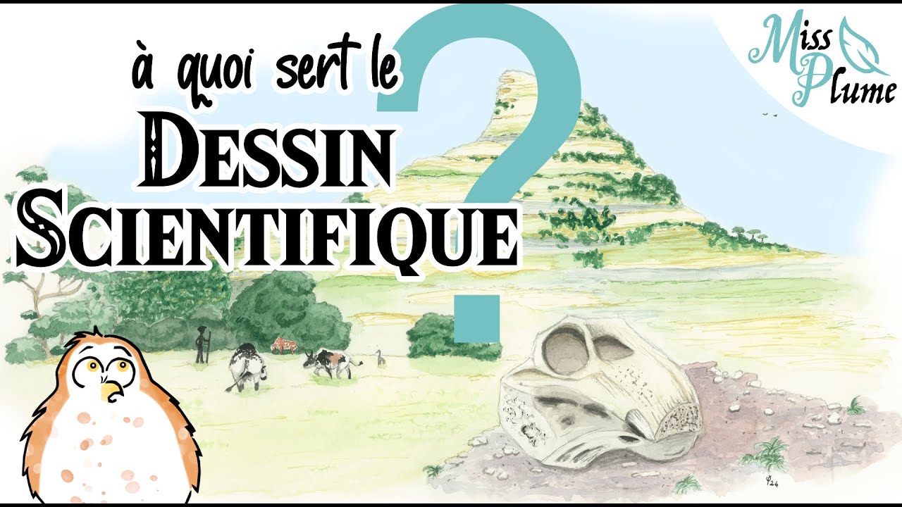 Le dessin scientifique, à quoi ça sert ?