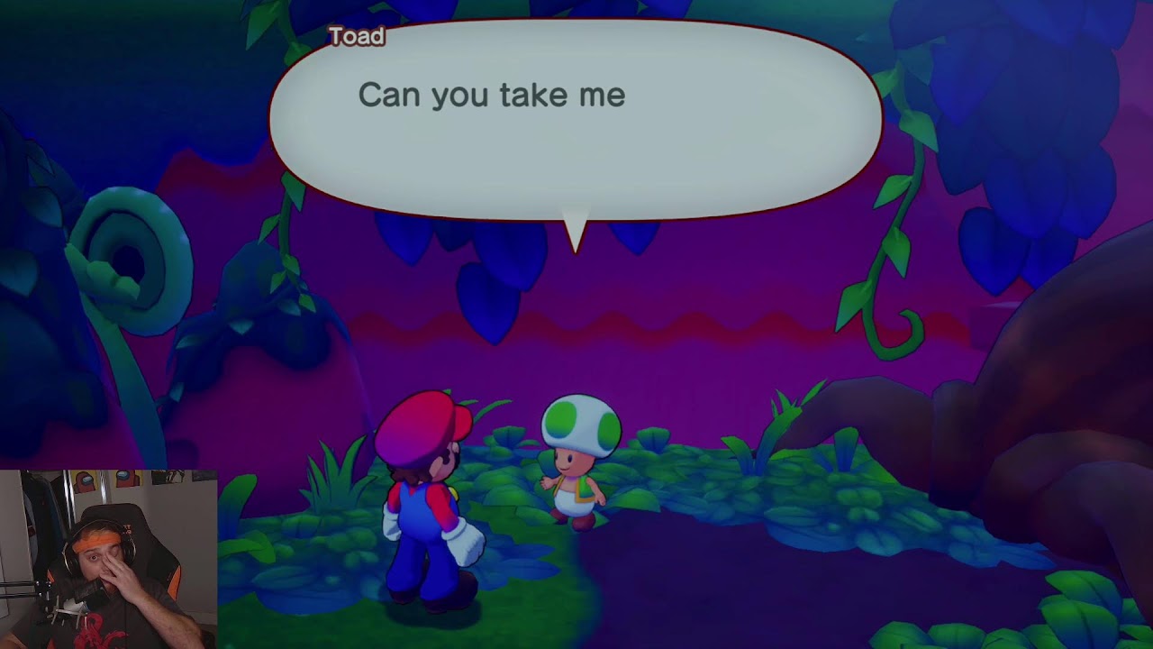 Mario and Luigi Brothership!