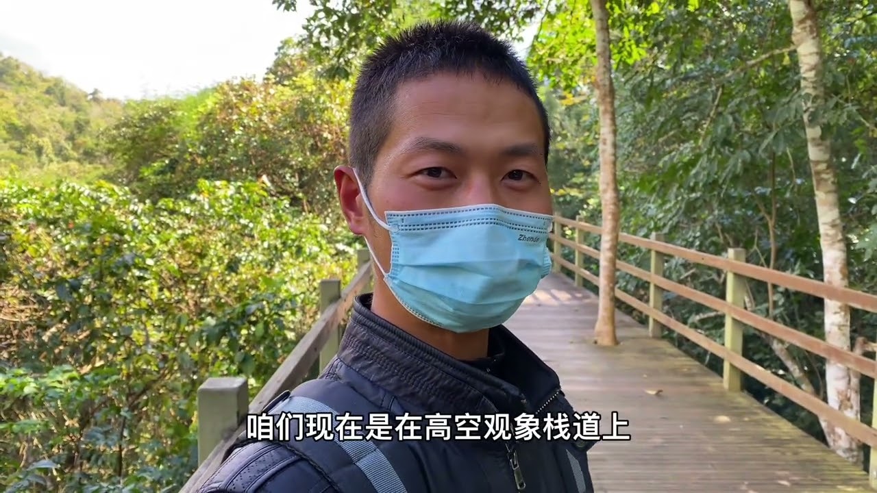 野象谷偶遇野生亚洲象群，还有没断奶小野象，好可爱 #奇妙的动物 #动物世界里的快乐童年 #爱护大自然保护野生动物
