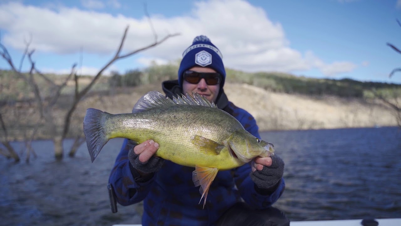 AYC Round 4: Copeton Dam