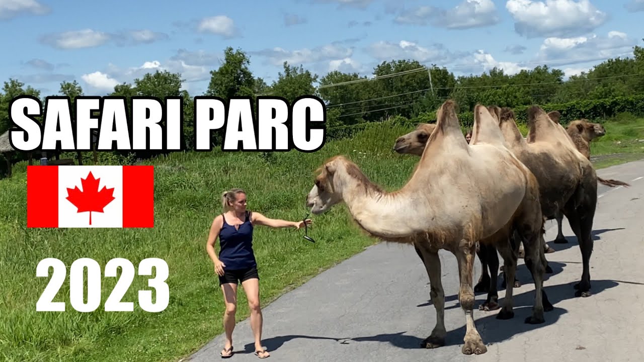 PARC SAFARI | CANADA ‘OMG !This Is How Close They Get ! Fun Activity For The Whole Family!