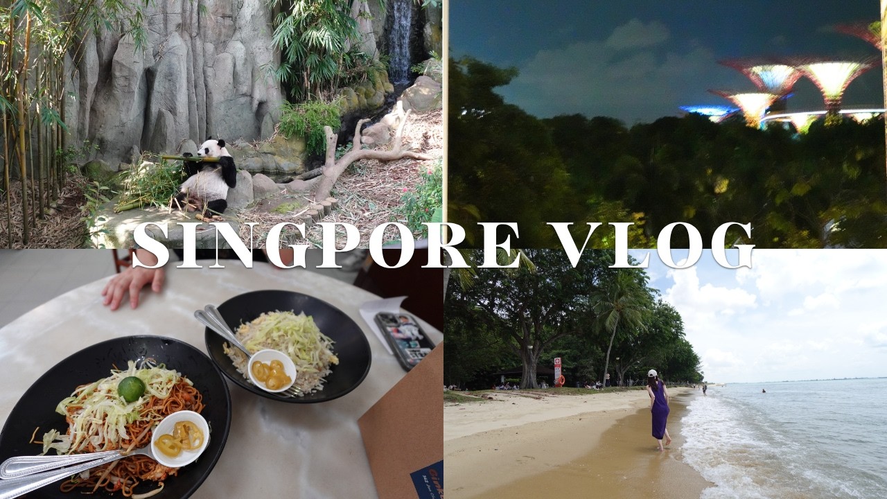 Singapore Vlog 🇸🇬 | 3 Days Trip ✈️