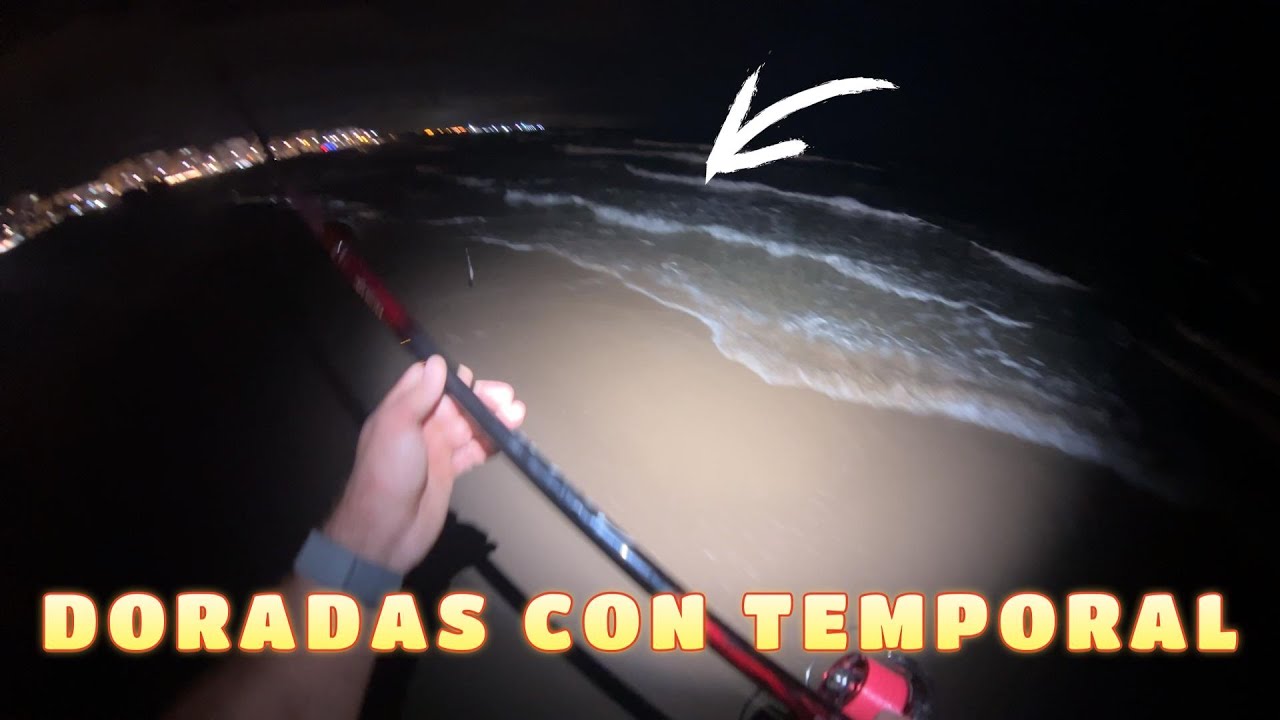 Secreto para pescar doradas en la playa de noche