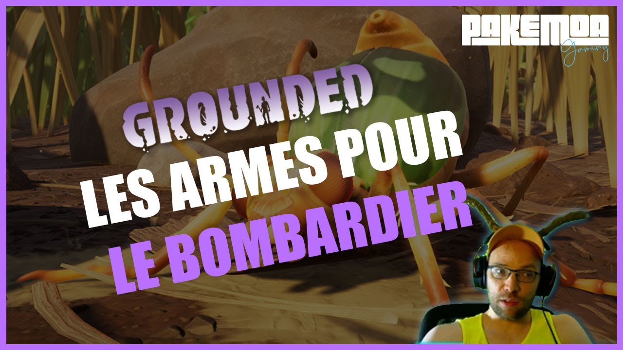 Grounded guide des armes pour le scarab&eacute;e bombardier