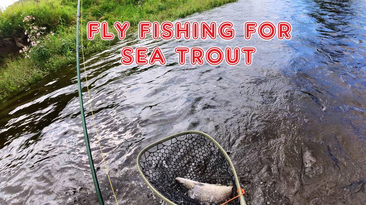 Fly fishing wet fly for sea trout