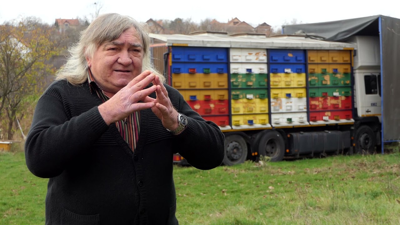 Domaćine kako radiš 29.11.2021. Pčelarstvo, Dražanj kod Grocke, Trska kod Rače