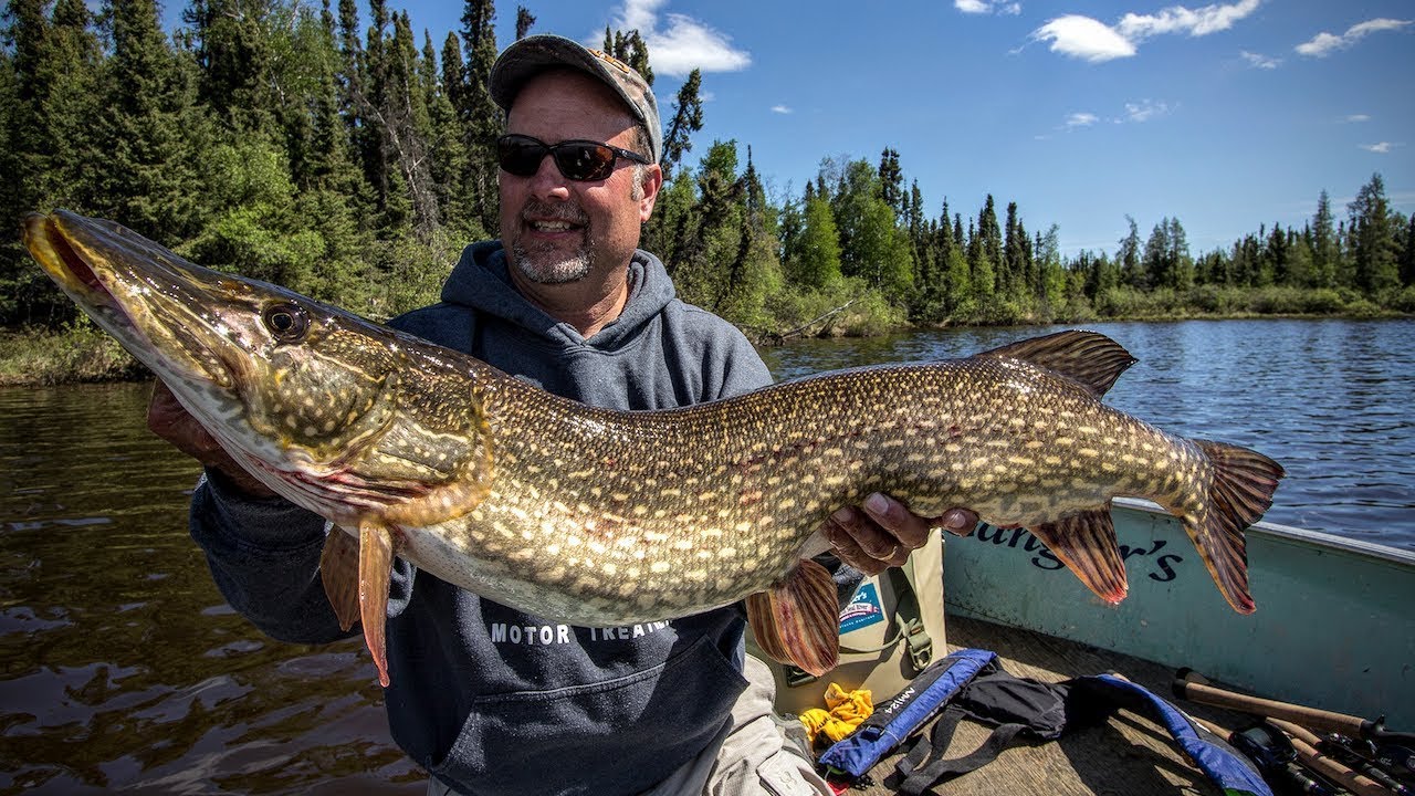 Trophy Pike — Angling Edge TV