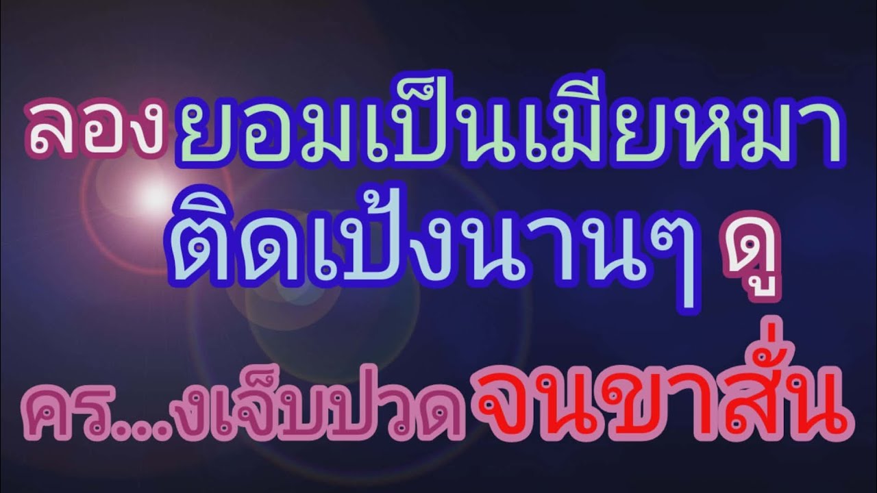 เพราะรักหมาเลยต้องรับฝากหมา