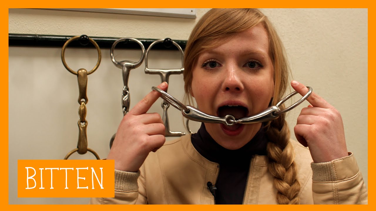 Alles over bitten | PaardenpraatTV