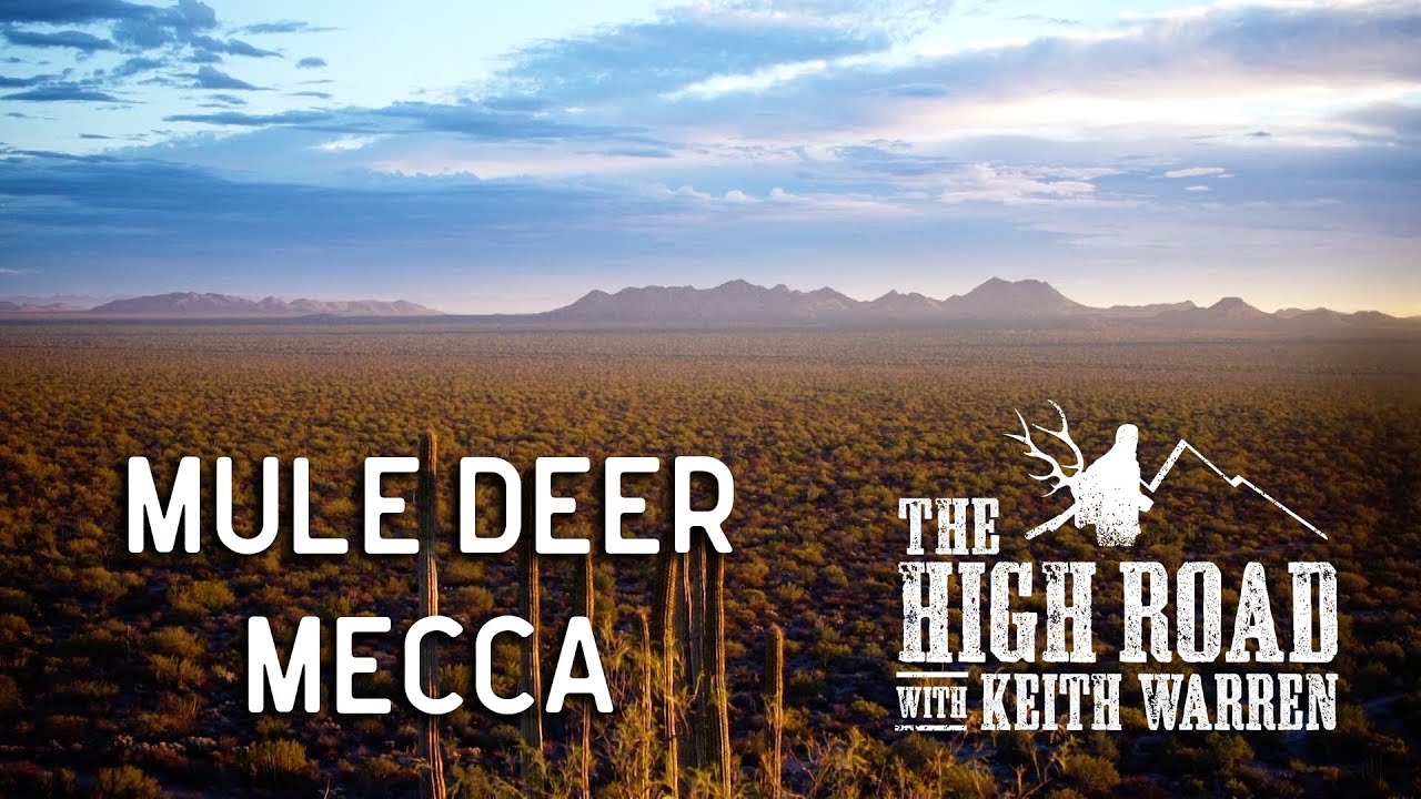 Mexico's Mule Deer Kingdom | The High Road with Keith Warren