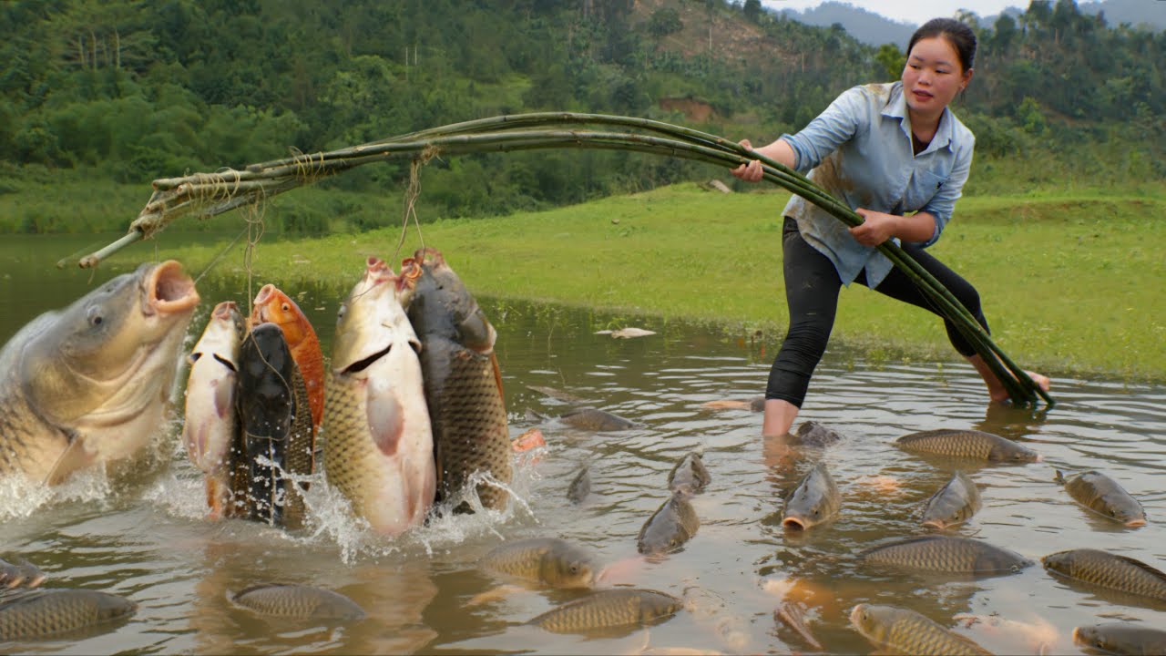 Effective Fishing Techniques for Catching Giant Fish to Sell at the Market | Trieu Mai Huong.