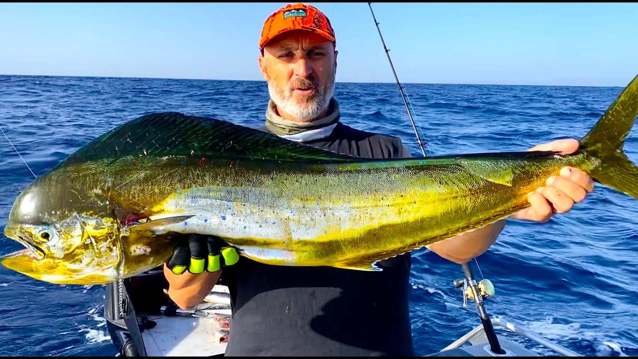 Fishing the Mahi Mahi FADs of the Gold Coast.
