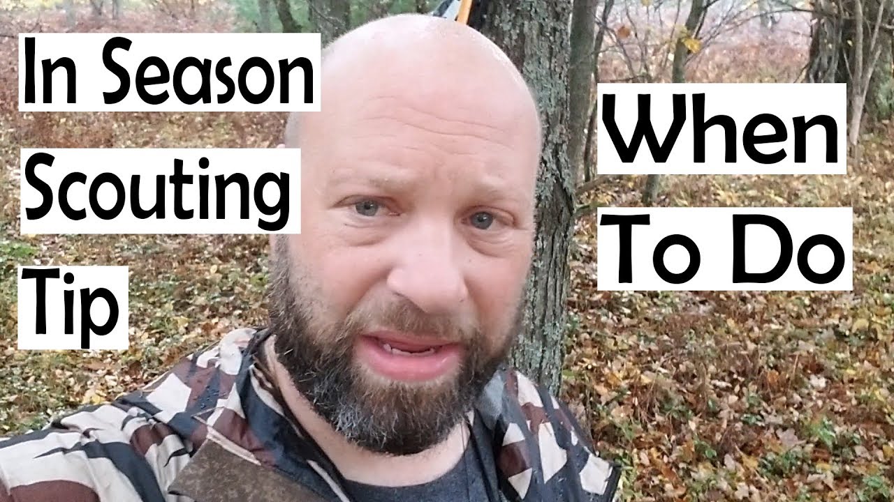 When To Do In Season Scouting Tip