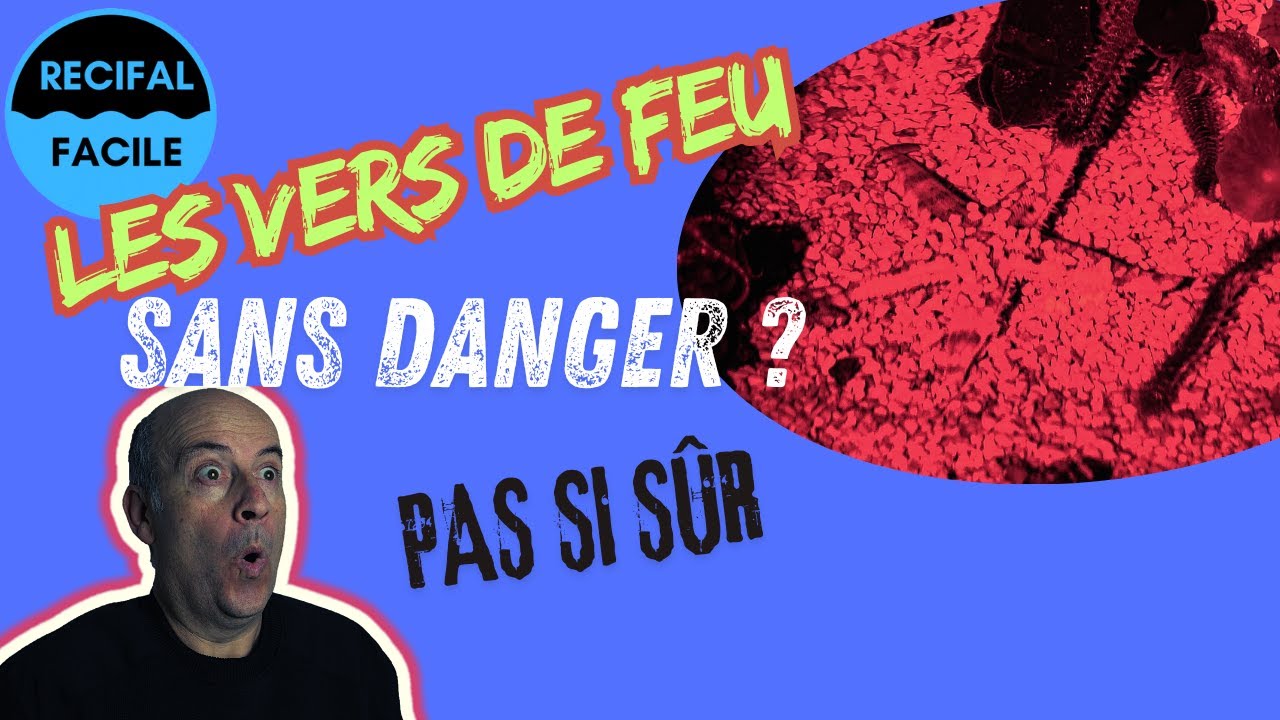Attaque de vers de feu - Vidéo inédite -