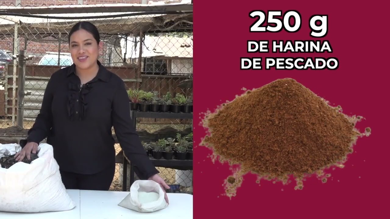 06 Té De Composta