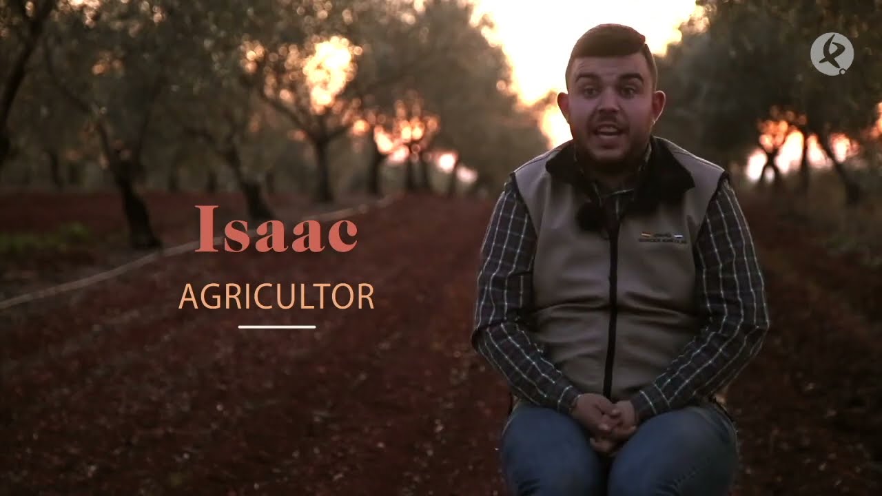 El pistacho, nuevo cultivo en Aldea de Retamar, gracias a la familia de Isaac | Maestros del campo