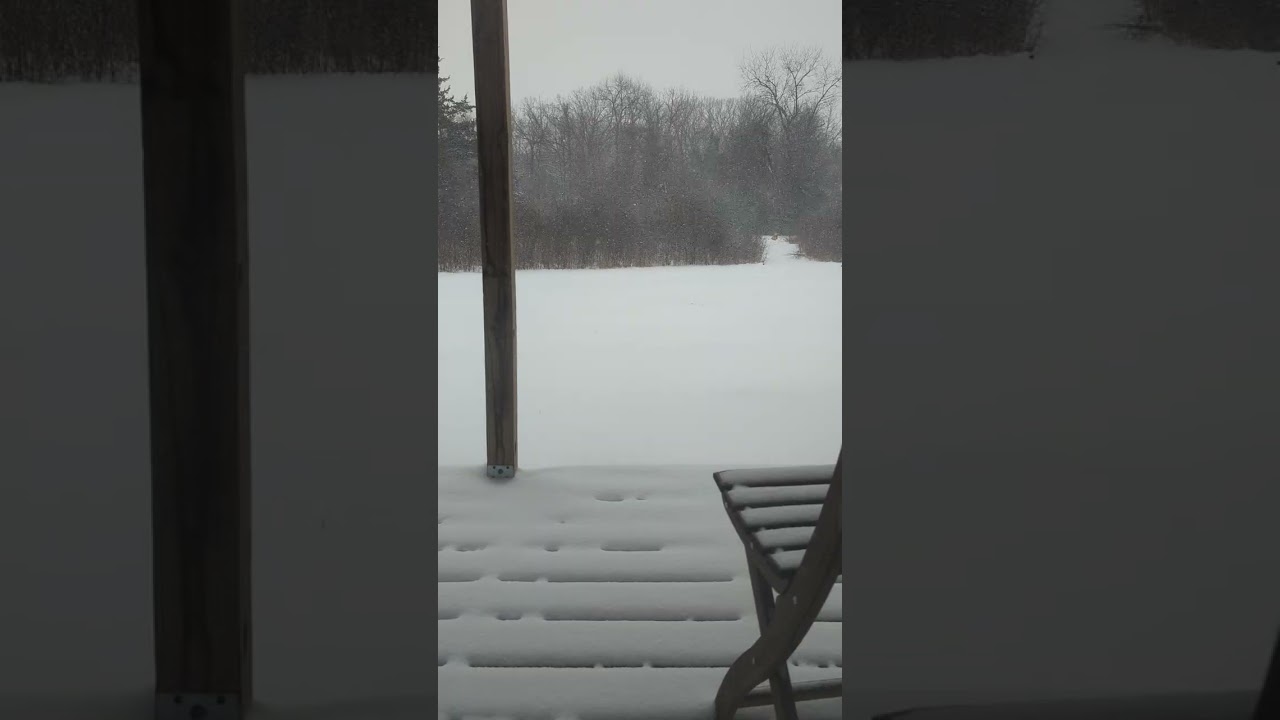 Winter's blight
