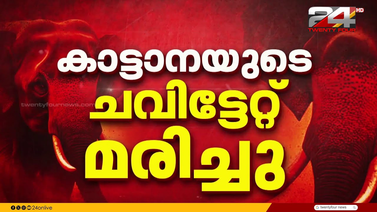 മരിച്ചത് പത്താം ബ്ലോക്കിലെ അനീഷ്; ആനയുടെ ആക്രമണമുണ്ടായത് പുലർച്ചെ വീടിന് പുറത്തിറങ്ങിയപ്പോൾ