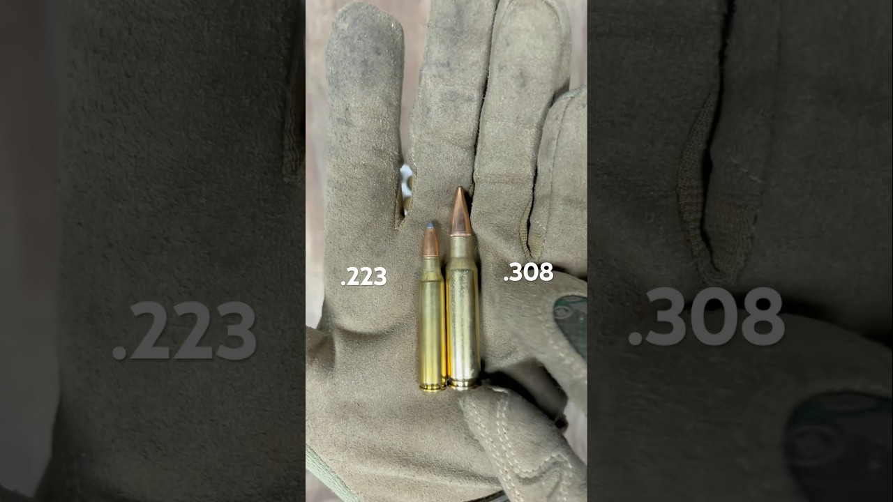 .223 vs .308 Size Comparison