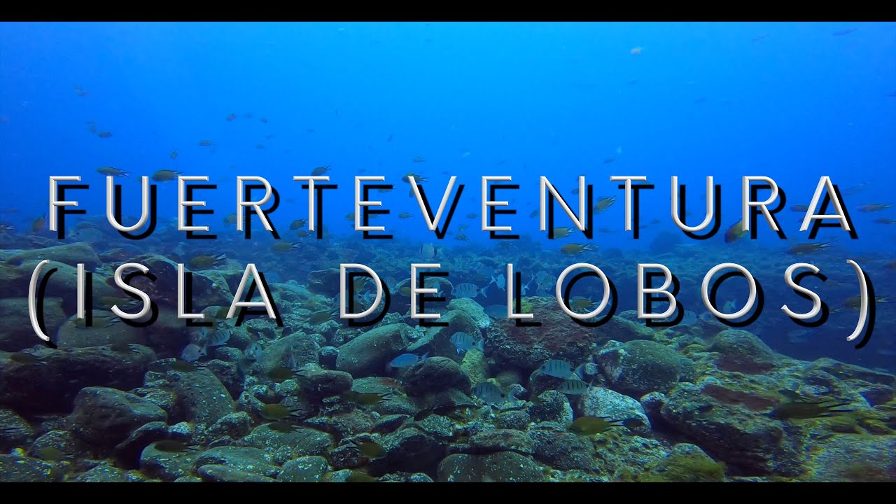 BUCEO en FUERTEVENTURA (ISLA DE LOBOS) en 4K (GOPRO HERO 8) en OCTUBRE de 2021 🤿🐟🐠🇪🇸