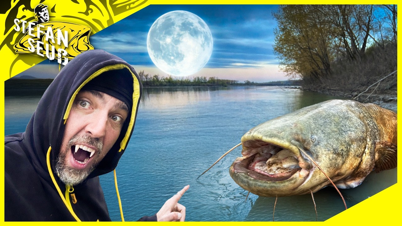 MOND-MONSTER | BISS auf BISS mit diesem Schnur-Trick | L&auml;nger Angeln mit Delta3Classic Outdoor Power