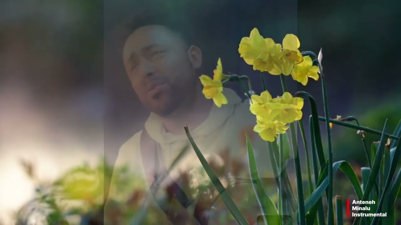 ነጋ ሌቱ (Nega Letu)